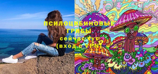 спайс Баксан