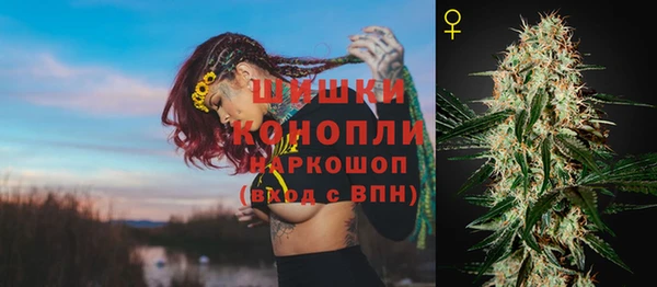 спайс Баксан