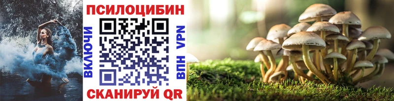 omg онион Вятские Поляны Галлюциногенные грибы Cubensis купить наркоту